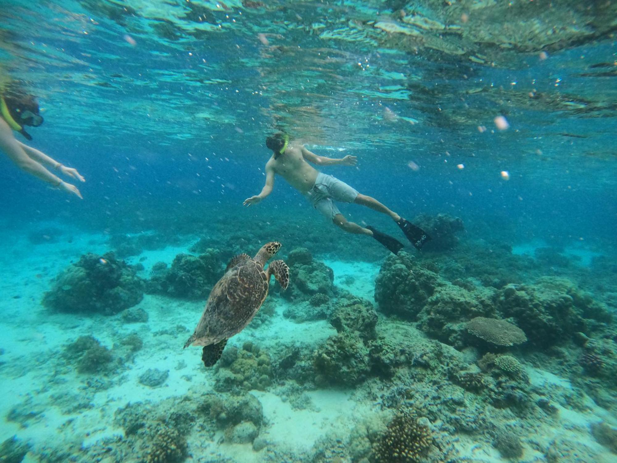 Maringo Cottage Gili Trawangan Eksteriør bilde